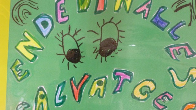 Els contes de l'exposici&oacute; de l'Espai Sambori