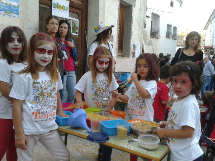 Galeria d'imatges de la Trobada d'Escoles Valencianes de Balones 2013